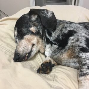 Meet your Posher, Cyndi